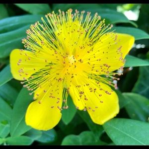 Meet your Posher, Sherri